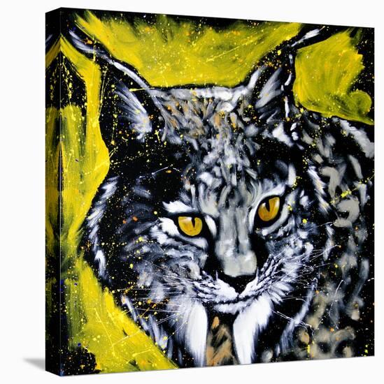Lynx-null-Stretched Canvas