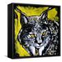 Lynx-null-Framed Stretched Canvas