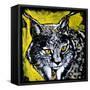 Lynx-null-Framed Stretched Canvas