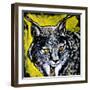 Lynx-null-Framed Art Print