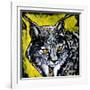 Lynx-null-Framed Art Print