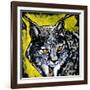 Lynx-null-Framed Art Print