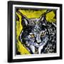 Lynx-null-Framed Art Print