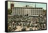 Lyon Block, Public Market, Albany-null-Framed Stretched Canvas