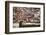 Lyon, France-David Hughes-Framed Photographic Print