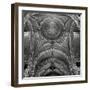 Lyon I-Alan Blaustein-Framed Photographic Print