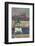 Lyon, Place Bellecour-Maurice Barbey-Framed Photographic Print