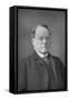 Lyon Playfair, Scottish Chemist and Politician, 1890-1894-W&d Downey-Framed Stretched Canvas