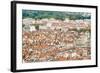 Lyon Rooftops I-Erin Berzel-Framed Photographic Print