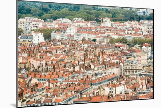 Lyon Rooftops I-Erin Berzel-Mounted Photographic Print