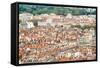 Lyon Rooftops I-Erin Berzel-Framed Stretched Canvas