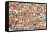 Lyon Rooftops II-Erin Berzel-Framed Stretched Canvas