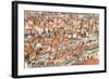 Lyon Rooftops II-Erin Berzel-Framed Photographic Print