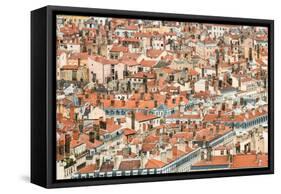 Lyon Rooftops II-Erin Berzel-Framed Stretched Canvas