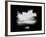 Lyon Skyline Brush Stroke - White-NaxArt-Framed Art Print