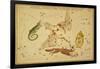 Lyra, Cygnus, Lacerta and Vulpecula, 1825-Science Source-Framed Giclee Print
