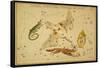 Lyra, Cygnus, Lacerta and Vulpecula, 1825-Science Source-Framed Stretched Canvas