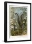 Lyre Bird-null-Framed Art Print