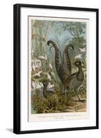 Lyre Bird-null-Framed Art Print