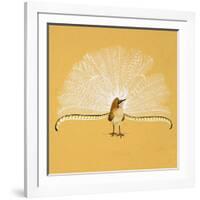 Lyre Bird-null-Framed Giclee Print