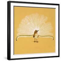 Lyre Bird-null-Framed Giclee Print