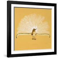 Lyre Bird-null-Framed Giclee Print