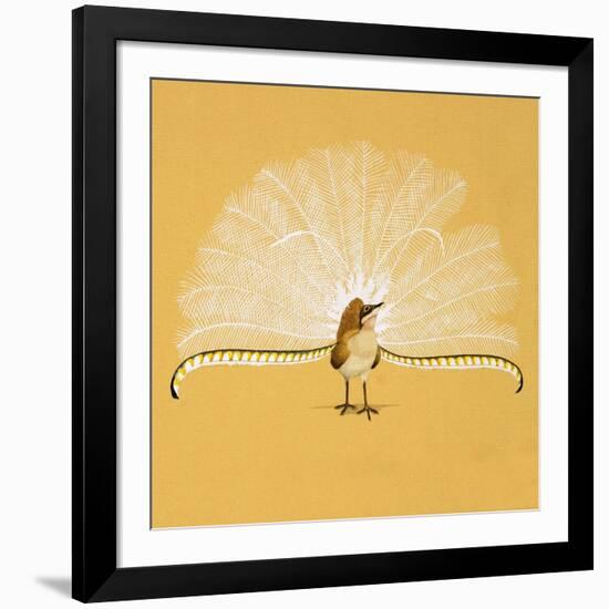 Lyre Bird-null-Framed Giclee Print