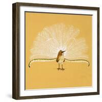 Lyre Bird-null-Framed Giclee Print