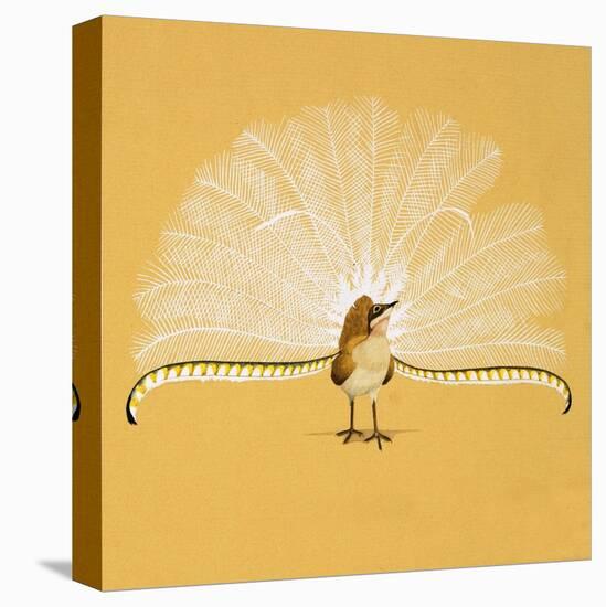 Lyre Bird-null-Stretched Canvas