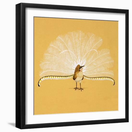 Lyre Bird-null-Framed Giclee Print