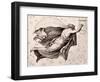 Lyre Of Orpheus-Eduard Ritter Von Engerth-Framed Giclee Print