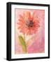 Lyrical Flower 1-Robbin Rawlings-Framed Art Print