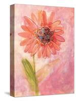 Lyrical Flower 1-Robbin Rawlings-Stretched Canvas