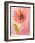 Lyrical Flower 1-Robbin Rawlings-Framed Art Print