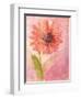Lyrical Flower 1-Robbin Rawlings-Framed Art Print