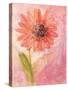 Lyrical Flower 1-Robbin Rawlings-Stretched Canvas