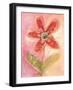 Lyrical Flower 2-Robbin Rawlings-Framed Art Print