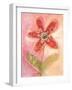 Lyrical Flower 2-Robbin Rawlings-Framed Art Print