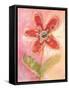 Lyrical Flower 2-Robbin Rawlings-Framed Stretched Canvas