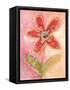 Lyrical Flower 2-Robbin Rawlings-Framed Stretched Canvas