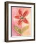 Lyrical Flower 2-Robbin Rawlings-Framed Art Print