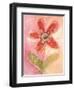 Lyrical Flower 2-Robbin Rawlings-Framed Art Print