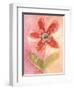 Lyrical Flower 2-Robbin Rawlings-Framed Art Print