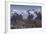 Lyskamm, Castor, Pollux, Breithorn, Gornergrat, Valais, Switzerland-Rainer Mirau-Framed Photographic Print