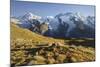 Lyskamm, Castor, Pollux, Breithorn, Gornergrat, Valais, Switzerland-Rainer Mirau-Mounted Photographic Print