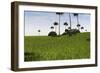 Lystrosaurus in a Grassy Field-null-Framed Art Print