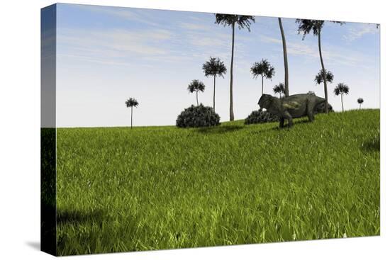 Stretched Canvas Print, , large