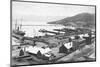 Lyttleton Harbour-null-Mounted Photographic Print