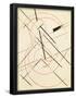 Essential Black