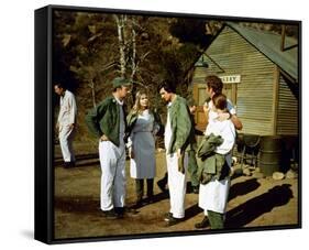 M*A*S*H (1972)-null-Framed Stretched Canvas